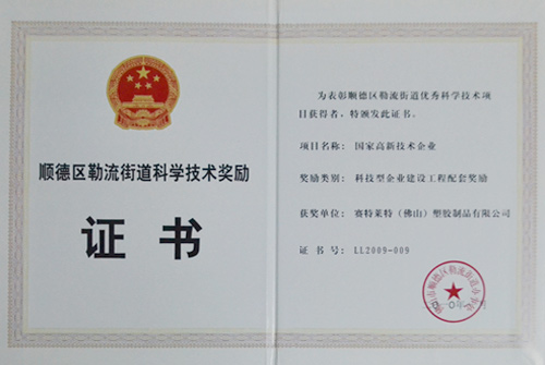 迪多-順德區(qū)勒流街道科學(xué)技術(shù)獎(jiǎng)勵(lì)證書
