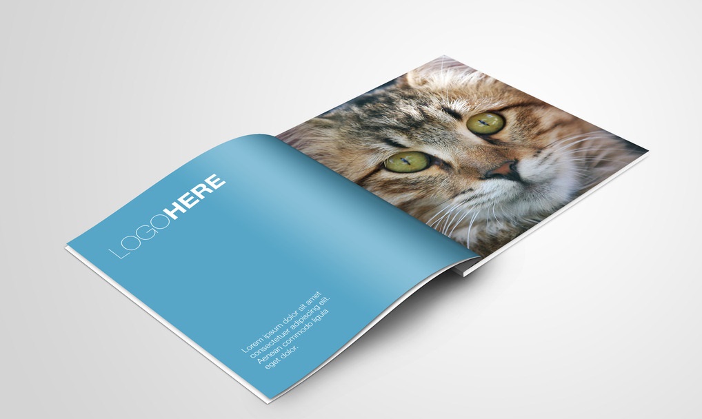 企業(yè)畫冊設計的價格范圍