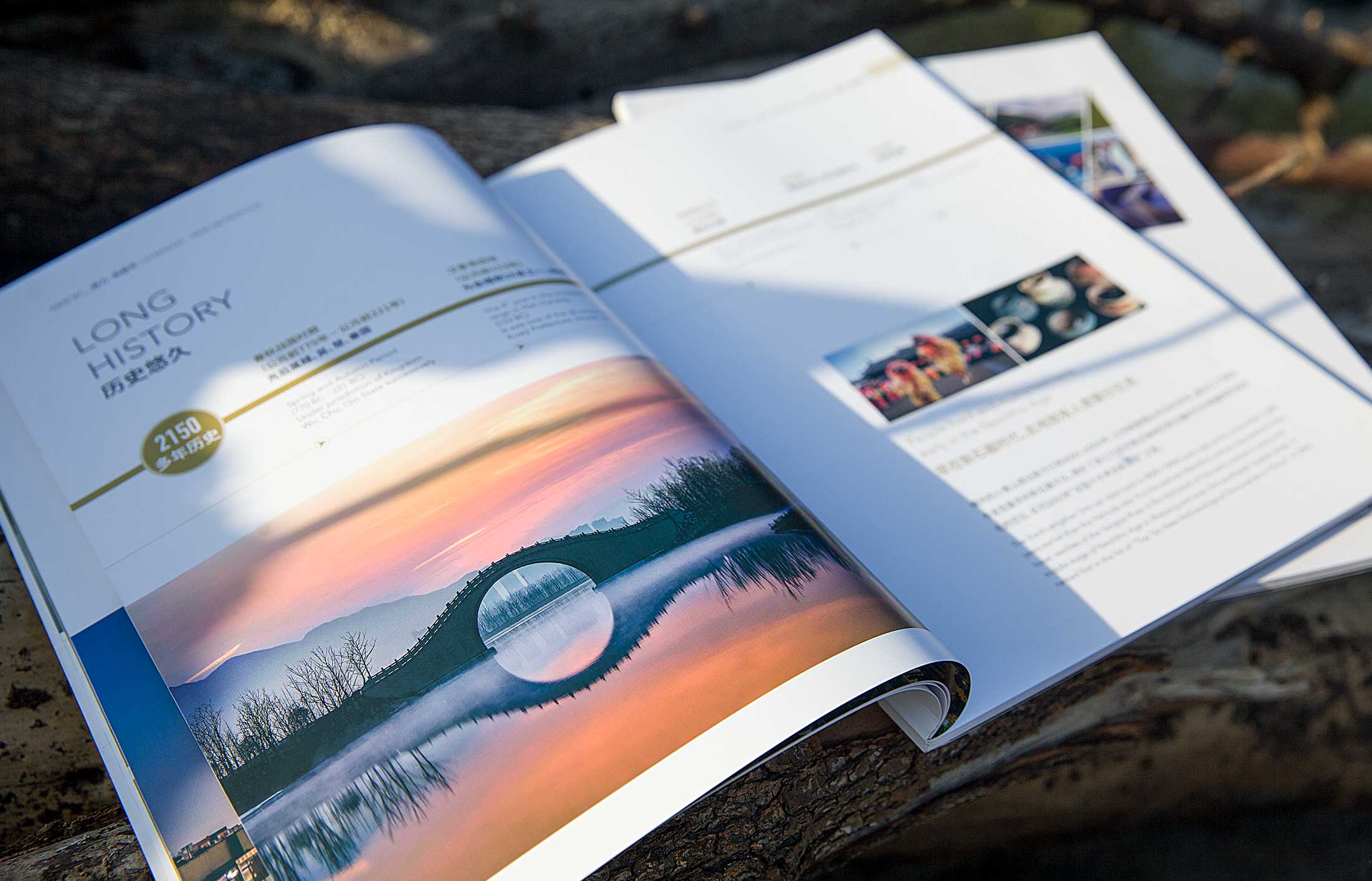 畫(huà)冊(cè)設(shè)計(jì)視覺(jué)空間漢字的分配