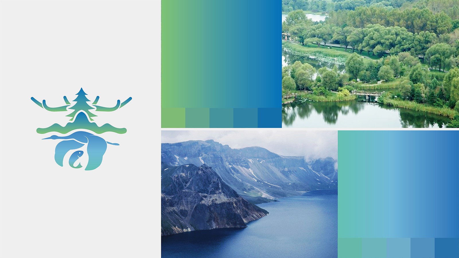 高昂的公司vi設(shè)計報價我們應(yīng)該去堅持嗎?