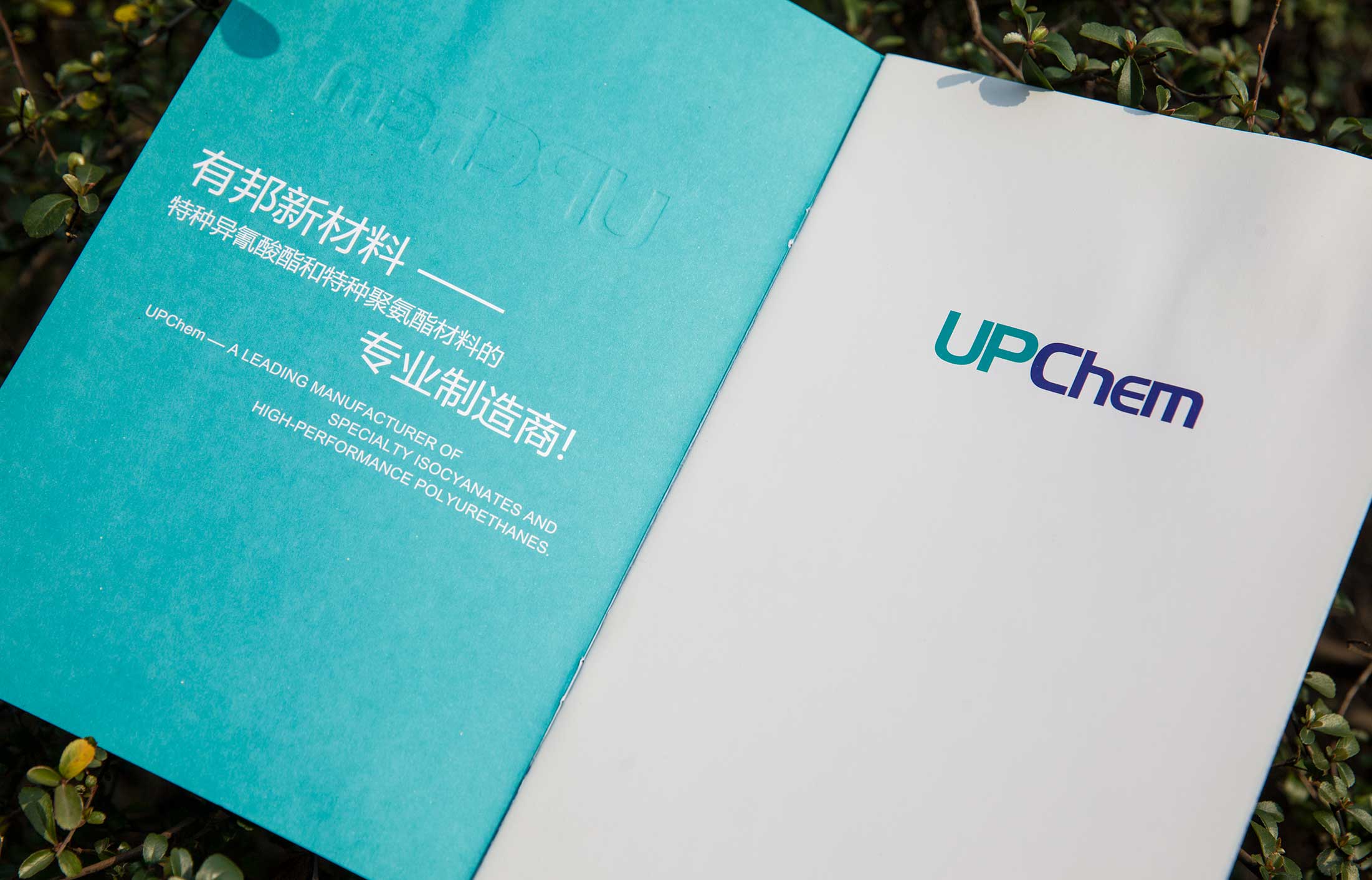 選營銷策劃公司的標準