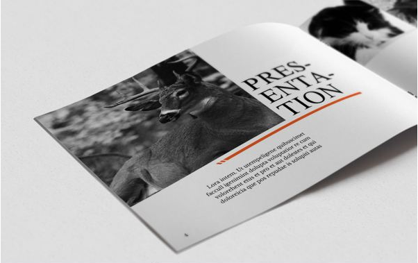 畫冊設(shè)計(jì)