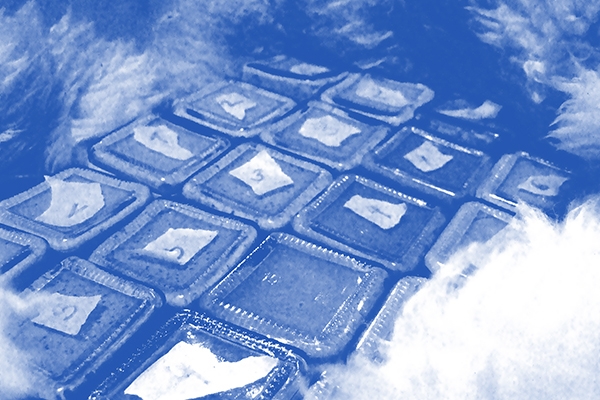 最為刺激的餐飲用品佐料，芥末醬產(chǎn)品包裝設(shè)計