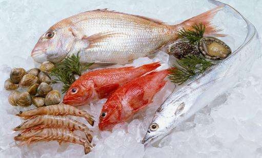 新鮮餐飲食材，冷凍海鮮食品包裝設計