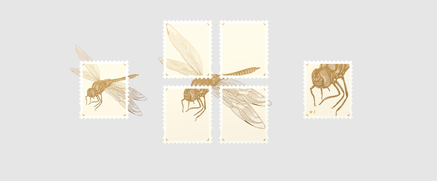 大自然的奇跡，蜻蜓主題的咖啡品牌包裝設計