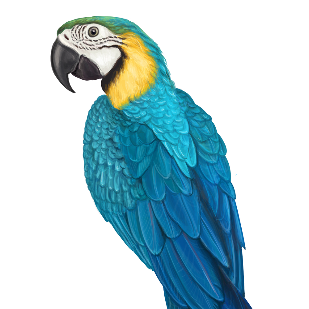 自然界野生動物來體現化妝品的純天然—護膚品包裝設計