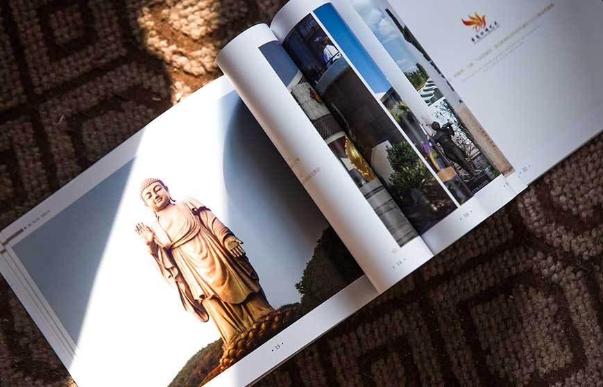 蒂高環(huán)境藝術宣傳冊